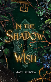Aurora, Maci — In the Shadow of a Wish: Fareview Fairy Tale, Book 1 (Fareview Fairy Tales)