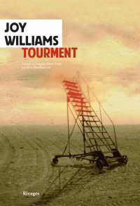 Joy Williams — Tourment