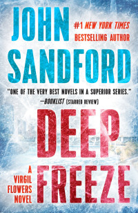 John Sandford — Deep Freeze (Virgil Flowers, #10)