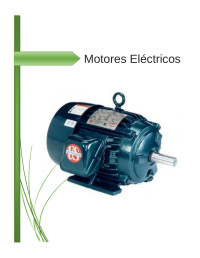 Eduardo Coliente Palalia — Motores Eléctricos