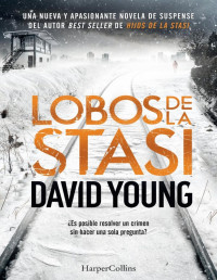 David Young — Lobos De La Stasi