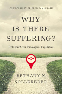 Bethany N. Sollereder; — Why Is There Suffering?