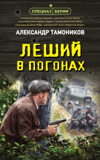 Александр Александрович Тамоников — Леший в погонах