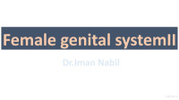 Iman Nabil — Fallopian tube