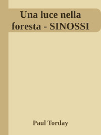 Paul Torday — Una luce nella foresta - SINOSSI