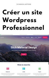 Antoine Camarasa — Wordpress : Créer un site professionnel de A à Z (French Edition)