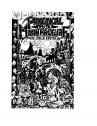 Uncle Fester — Practical LSD Manufacture 1st Edition