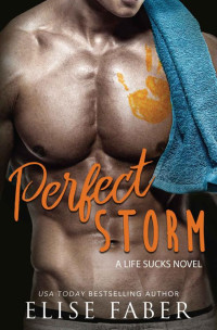 Elise Faber — Perfect Storm (Life Sucks Book 6)