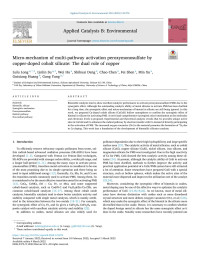 Lulu Long — Micro-mechanism of multi-pathway activation peroxymonosulfate by copper-doped cobalt silicate: The dual role of copper