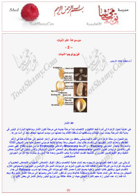 ISMSH — تربية النشء في الإسلام