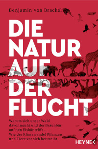 Benjamin von Brackel — Die Natur auf der Flucht