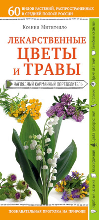 Ксения Борисовна Митителло — Лекарственные цветы и травы. Наглядный карманный определитель