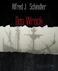 Alfred J.  Schindler — Das Wrack