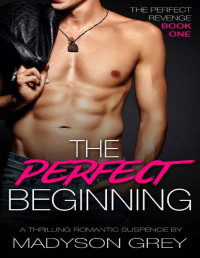 Madyson Grey — The Perfect Beginning: A Thrilling Romantic Suspence (The Perfect Revenge Book 1)