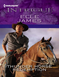 Elle James [Elle James] — Thunder Horse Redemption