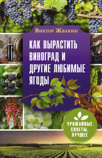 Виктор Владимирович Жвакин — Как вырастить виноград и другие любимые ягоды