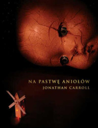 Jonathan Carroll — Na pastwę aniołów