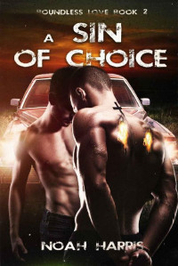 Noah Harris — A Sin of Choice: A Gay Romance (Boundless Love Book 2)