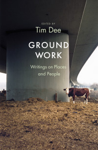 Tim Dee — Ground Work