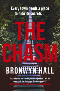 Bronwyn Hall — The Chasm