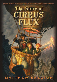 Matthew Skelton — The Story of Cirrus Flux