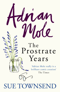 Sue Townsend — Adrian Mole: The Prostate Years - Adrian Mole #08