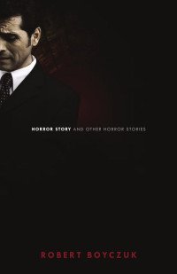 Robert Boyczuk — Horror Story and Other Horror Stories