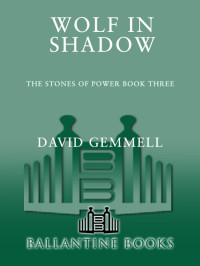 David Gemmell — Wolf in Shadow