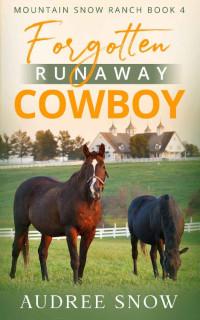 Audree Snow — Forgotten Runaway Cowboy #4 (Mountain Snow Ranch 04)