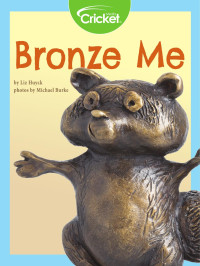 Liz Huyck — Bronze Me