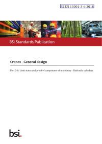 The British Standards Institution — BS EN 13001‑3‑6:2018