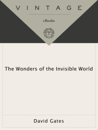 David Gates — The Wonders of the Invisible World