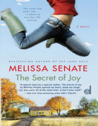 Melissa Senate — The Secret of Joy