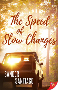 Sander Santiago — The Speed of Slow Changes