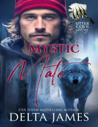 Delta James — Mystic Mate: A Small Town Shifter Romance