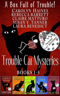 Carolyn Haines & Rebecca Barrett & Claire Matturro & Susan Y. Tanner & Laura Benedict — A Box Full of Trouble