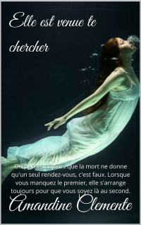 Amandine Clemente — Elle est venue te chercher