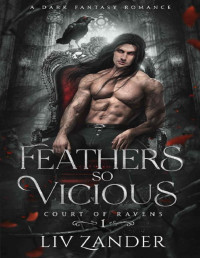 Liv Zander — Feathers so Vicious: A Dark Fantasy Romance (Court of Ravens Book 1)