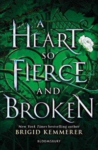 Brigid Kemmerer  — A Heart so Fierce and Broken