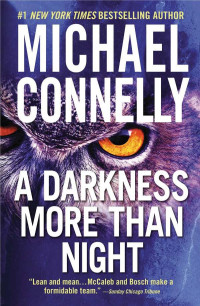 Michael Connelly — A Darkness More Than Night - Harry Bosch #07