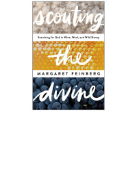 Margaret Feinberg; — Scouting the Divine