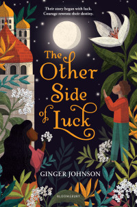 Ginger Johnson — The Other Side of Luck