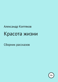 Александр Валерьевич Коптяков — Красота жизни. Сборник рассказов