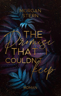 Morgan Stern — The Promise that I couldn’t keep (German Edition)