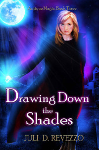 Juli D. Revezzo [Revezzo, Juli D.] — Drawing Down the Shades