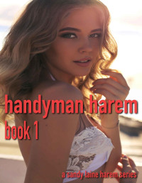 Sandy Laine — Handyman Harem Book 1: An MFFF series