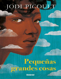 Jodi Picoult — Pequeñas Grandes Cosas