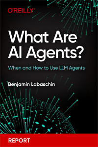 Benjamin Labaschin — What Are AI Agents? (for True Epub)