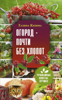 Галина Александровна Кизима — Огород – почти без хлопот