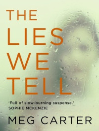Meg Carter  — The Lies We Tell